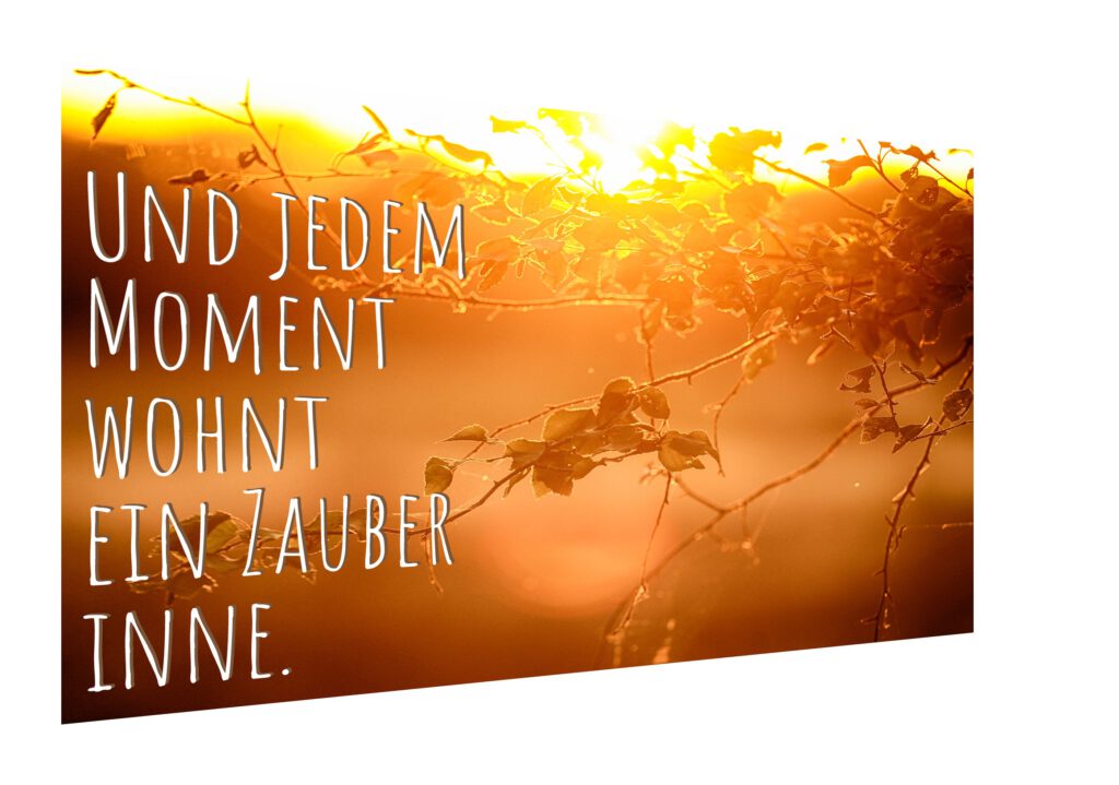 Poster Bild Spruch Zauber Moment Sonnenuntergang Geschenkidee Hanga Ringa